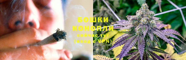 ПСИЛОЦИБИНОВЫЕ ГРИБЫ Гусиноозёрск