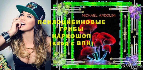 ПСИЛОЦИБИНОВЫЕ ГРИБЫ Гусиноозёрск