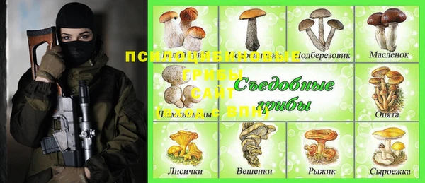спиды Гусь-Хрустальный