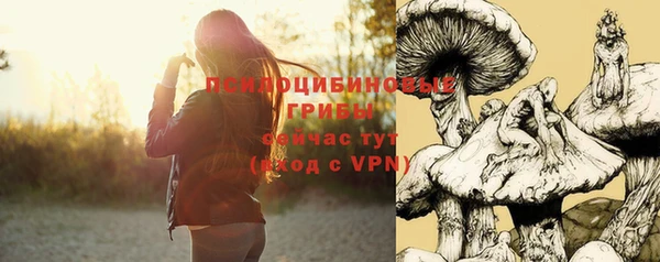 ПСИЛОЦИБИНОВЫЕ ГРИБЫ Гусиноозёрск