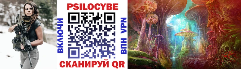 Псилоцибиновые грибы Psilocybine cubensis  Купить  Нижняя Тура 
